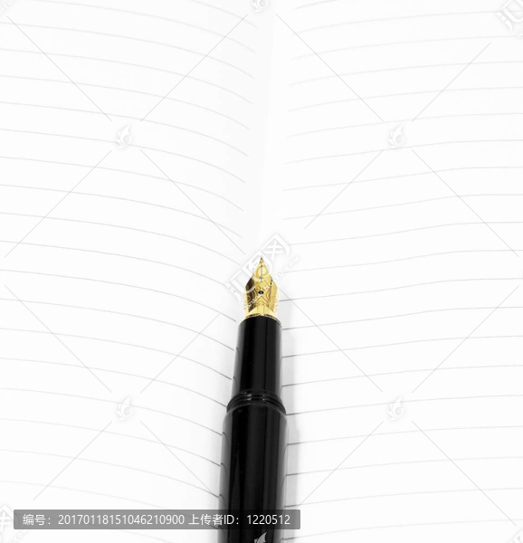 鋼筆和筆記本
