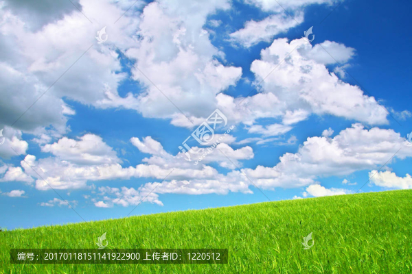 夏季野外