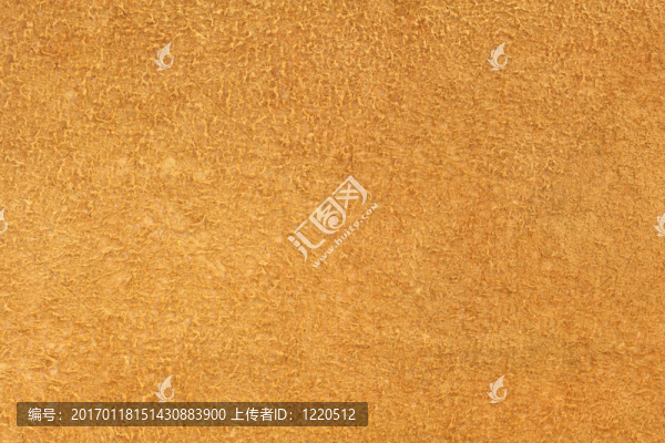 皮衣