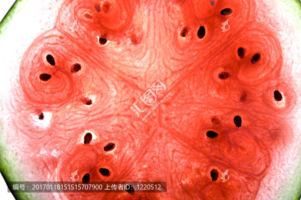 西瓜片-匯圖網(wǎng) www.fosd68.com 西瓜片