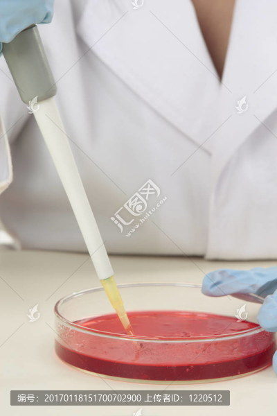 生物學(xué)研究