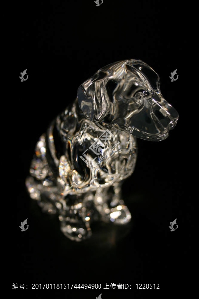 晶體的金毛獵犬