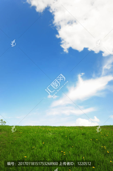 草甸景觀-匯圖網(wǎng) www.fosd68.com 草甸景觀