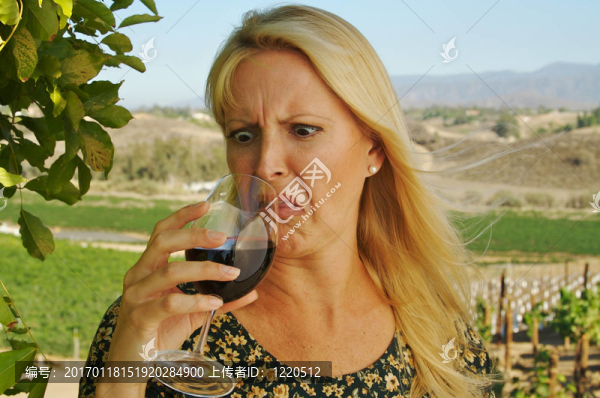 我的酒里有什么？