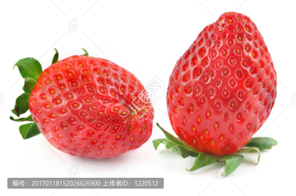 草莓白