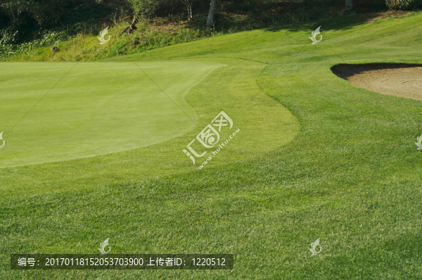 高爾夫球場(chǎng)的沙坑，果嶺