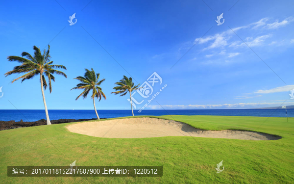 夏威夷高爾夫球場