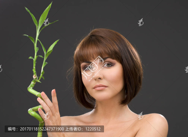 竹子在灰色黑色