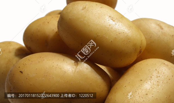 孤立的馬鈴薯