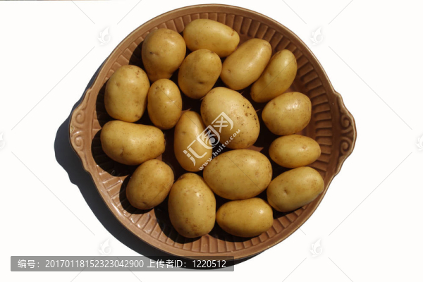 孤立的馬鈴薯