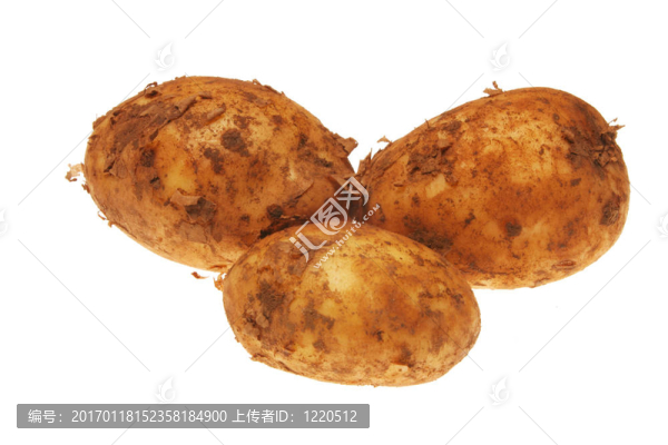 三新土豆