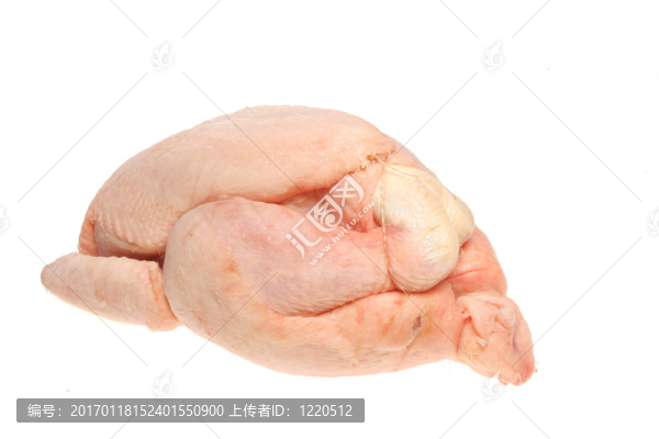 生雞肉