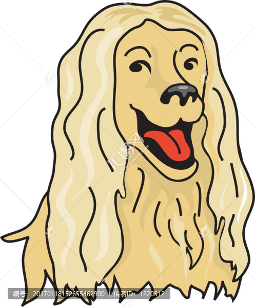 阿富汗獵犬-匯圖網(wǎng) www.fosd68.com 阿富汗獵犬