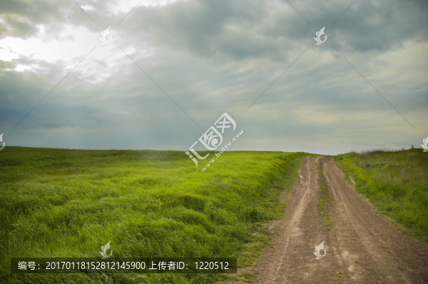 景觀道路