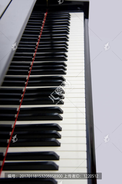 鋼琴鍵盤