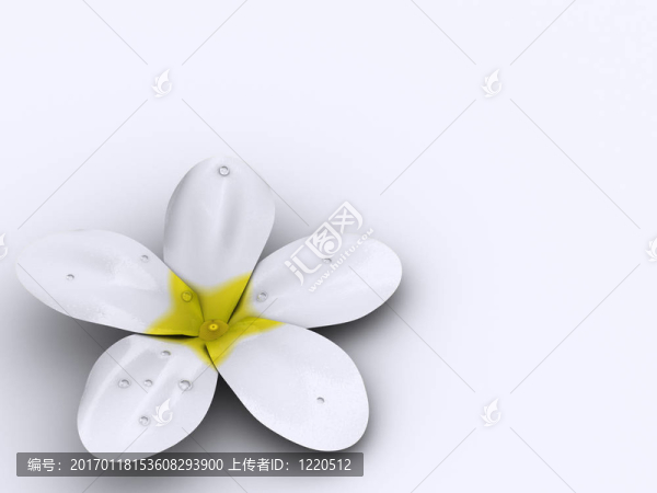 花1-匯圖網(wǎng) www.fosd68.com 花1