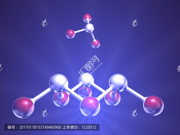 分子