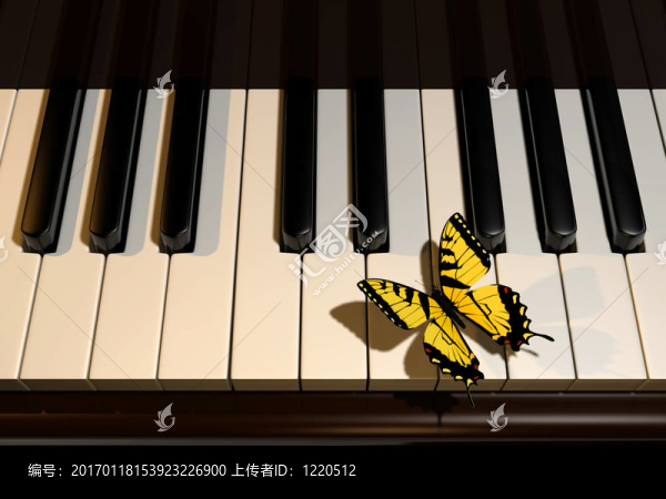 鋼琴與蝴蝶