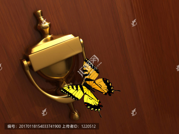 門環(huán)和蝴蝶