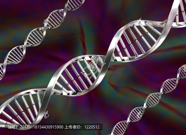 DNA鏈