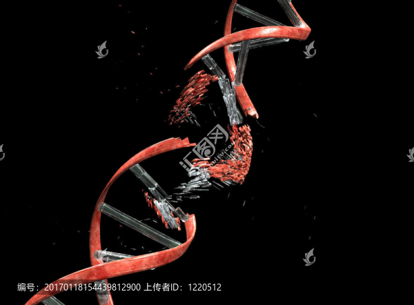 具有剪切路徑的DNA字符串