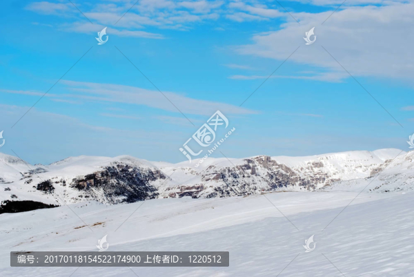 冬景