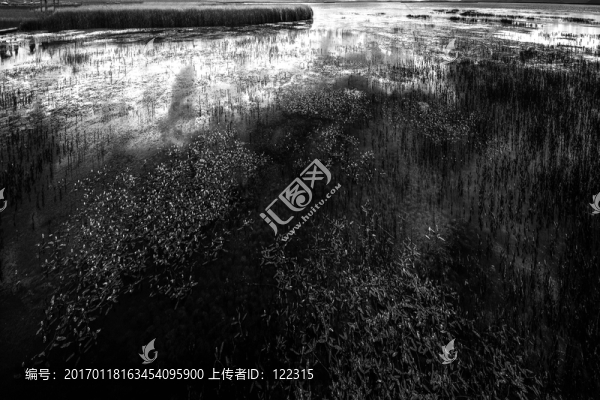 若爾蓋,花湖