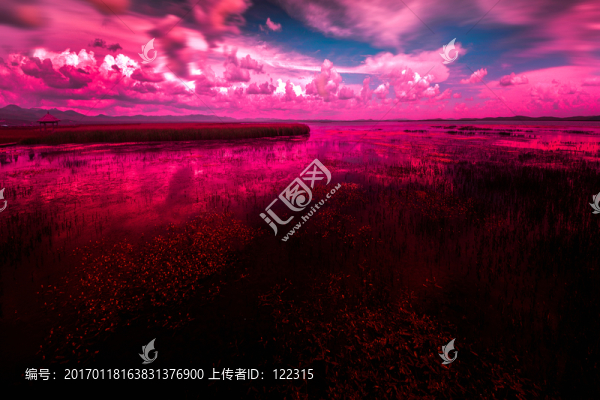 若爾蓋花湖