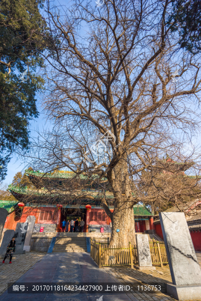 少林寺