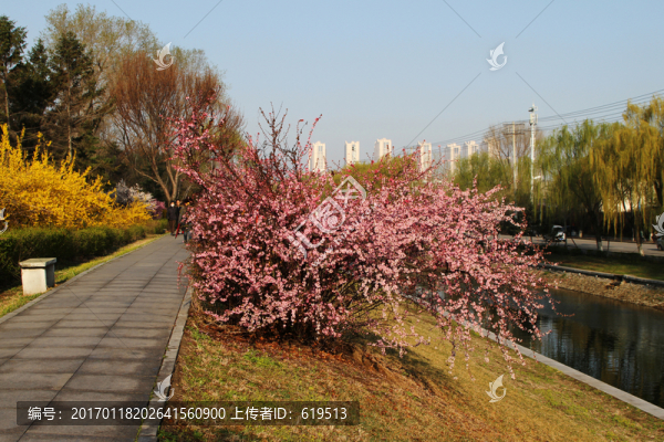 春意盎然,沈陽,小河沿