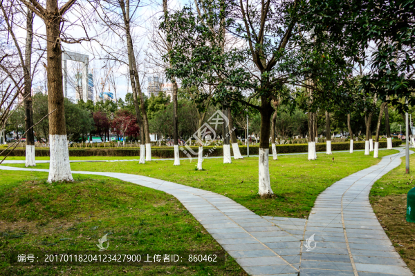 公園小路,季節(jié)風(fēng)景,樹(shù)木凋零