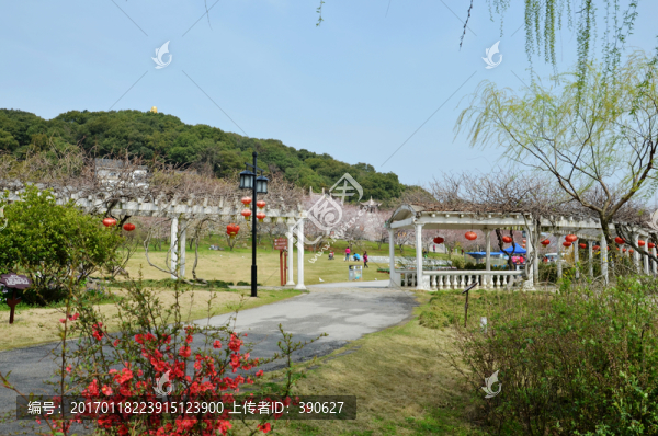 公園春色