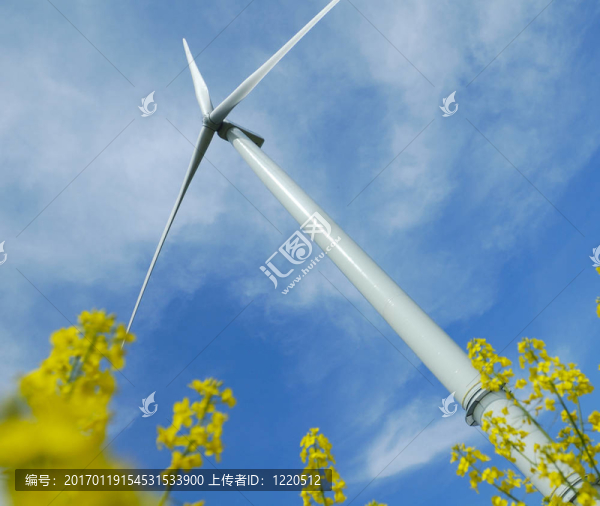 風(fēng)力渦輪機(jī)在油菜田