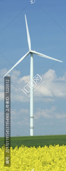 風(fēng)力渦輪機(jī)在油菜田