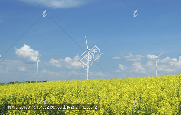 農(nóng)場(chǎng)的風(fēng)力渦輪機(jī)靠近油菜田