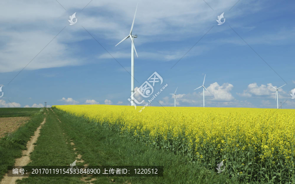 農(nóng)場的風(fēng)力渦輪機(jī)靠近油菜田