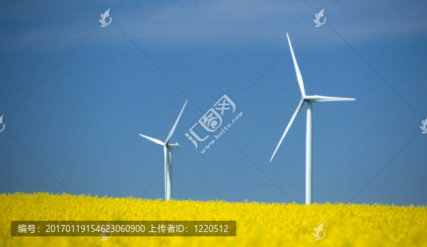 農(nóng)場winturbines接近油菜田