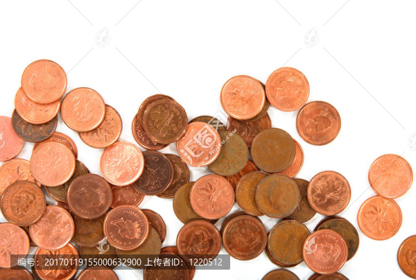 白色背景上硬幣的特寫
