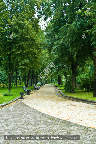 公園里