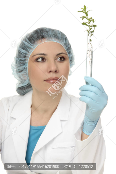 植物研究