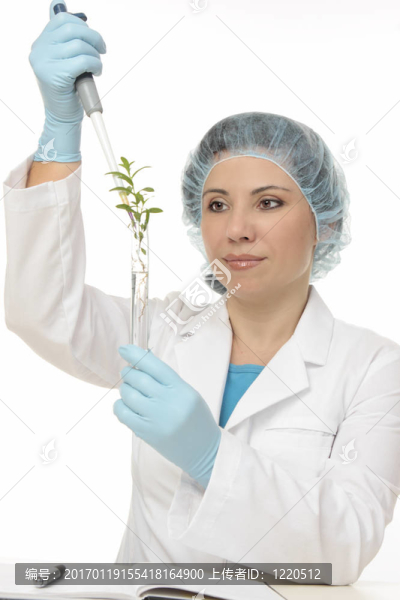 植物學(xué)實驗