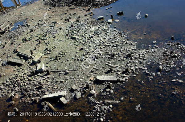 藤壺的海岸