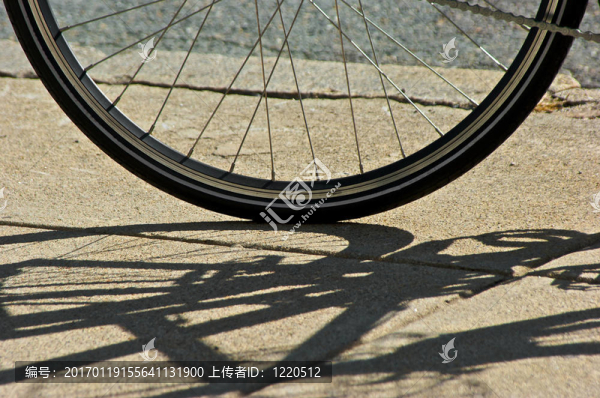 自行車輪胎