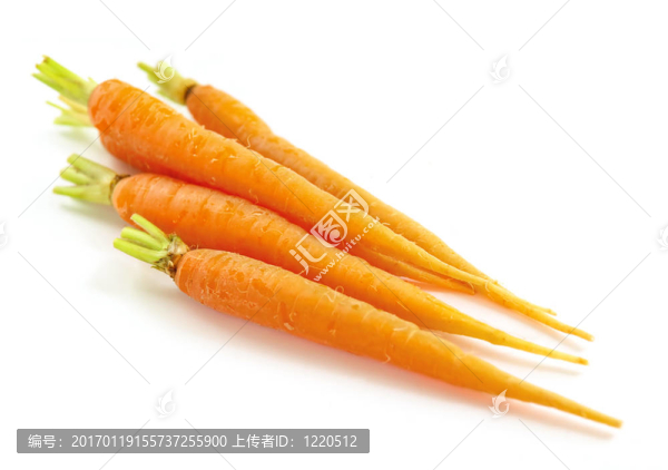胡蘿卜