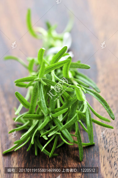 新鮮迷迭香