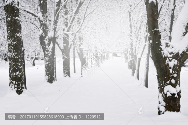 冬季公園里的小路