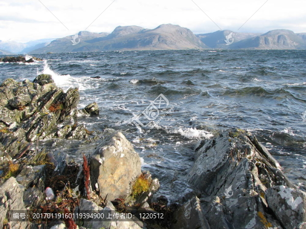植物與海洋會議。