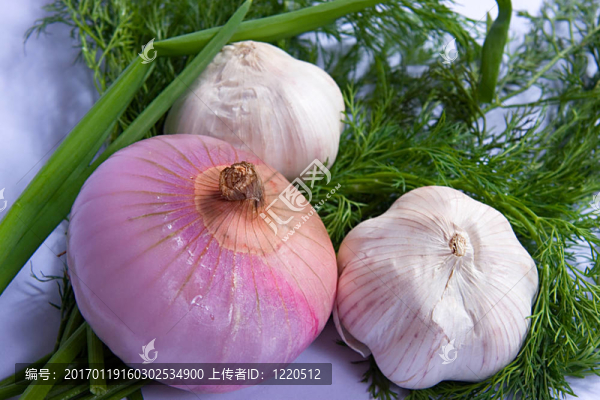 大蒜洋蔥和綠色