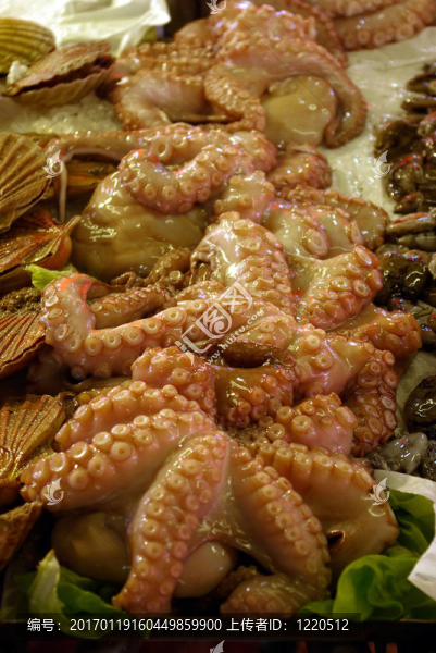 章魚吃