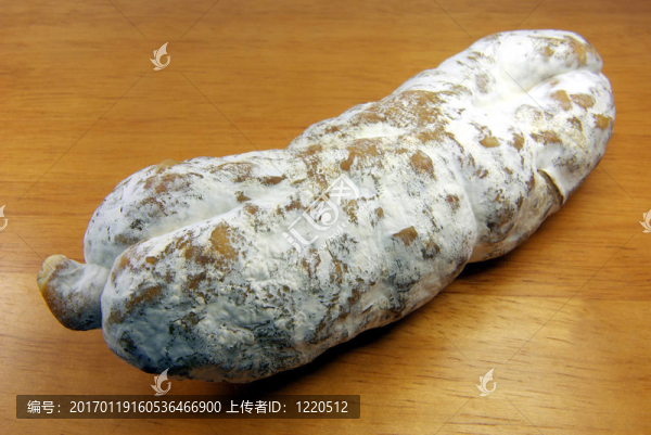 船上2荒謬